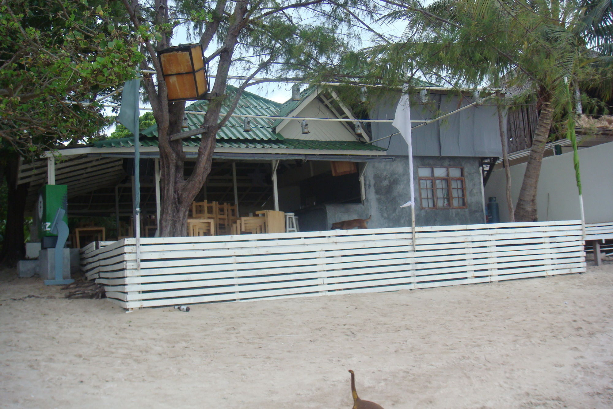 Silver Sands Beach Resort Ko Tao Luaran gambar